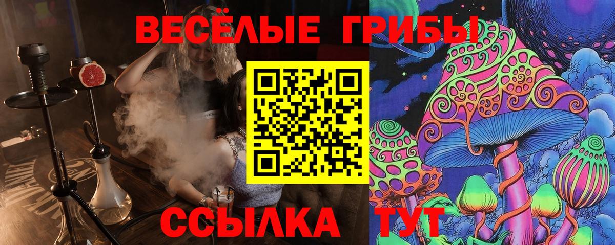 Астрахань  Галлюциногенные грибы MAGIC MUSHROOMS  Вход с VPN 